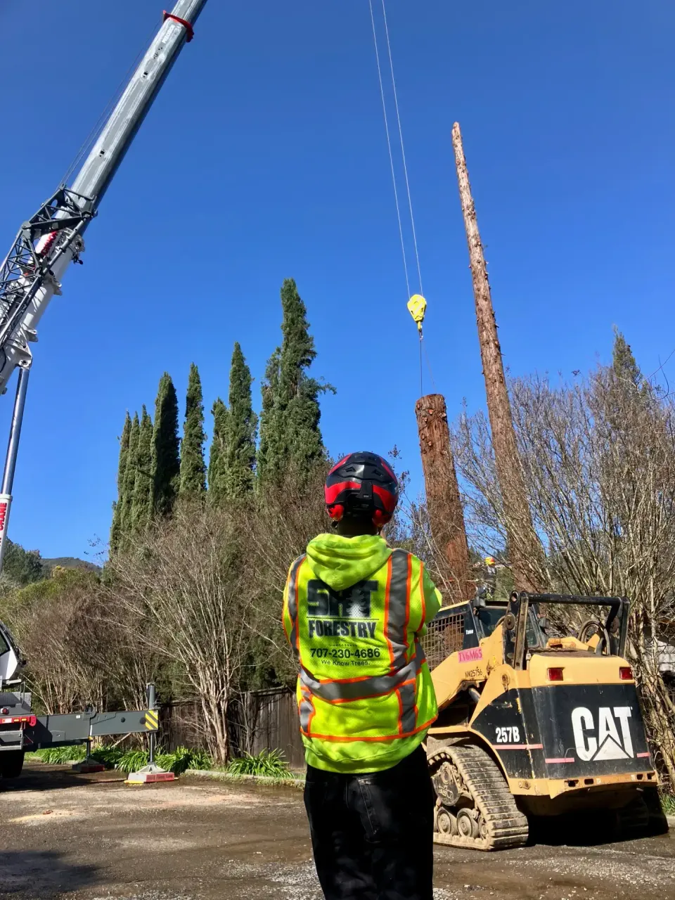 SRT Forestry crew coordinating crane-assisted tree work