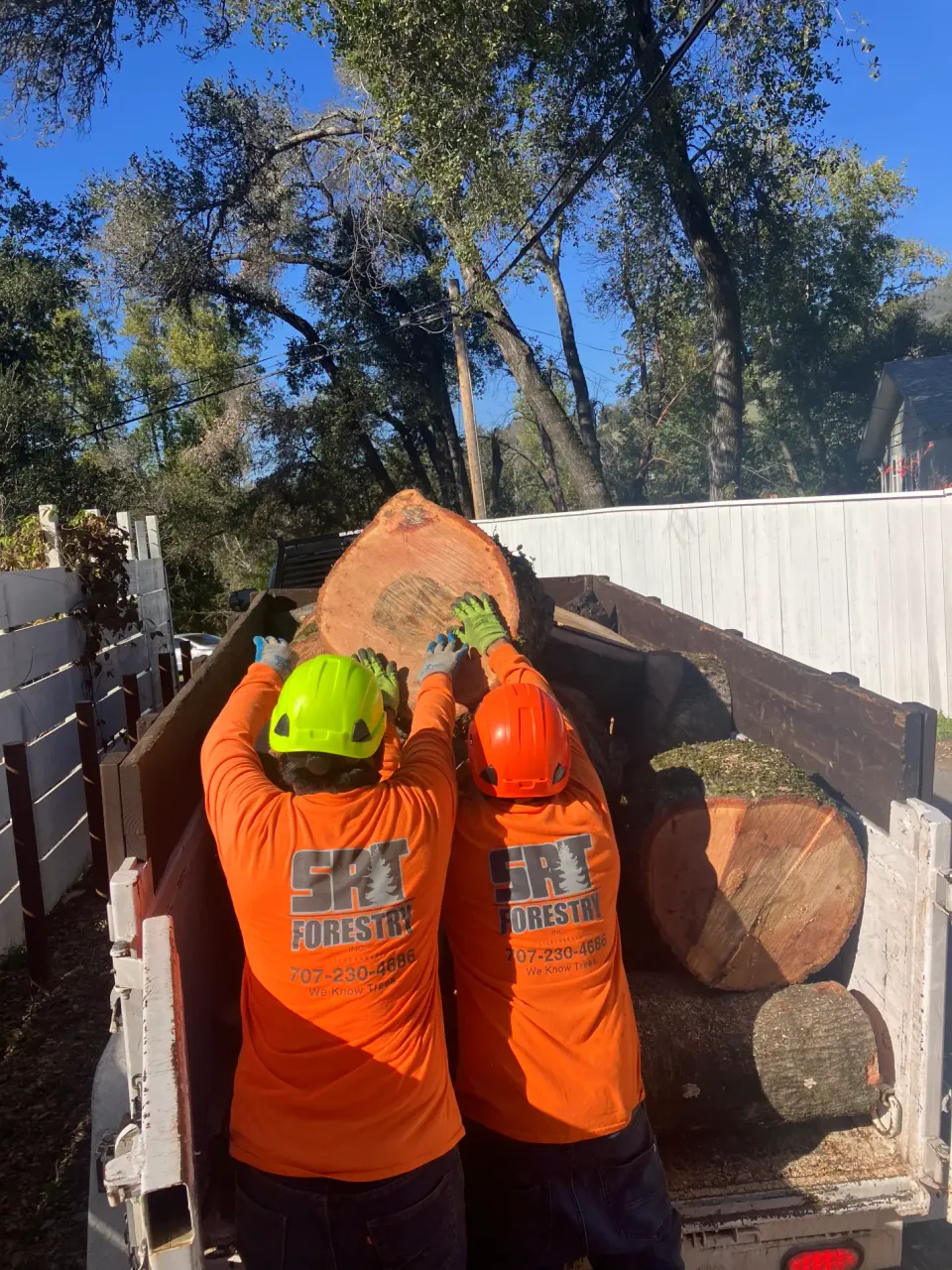 SRT Forestry crew beside cut tree sections