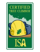 ISA Certified Tree Climber