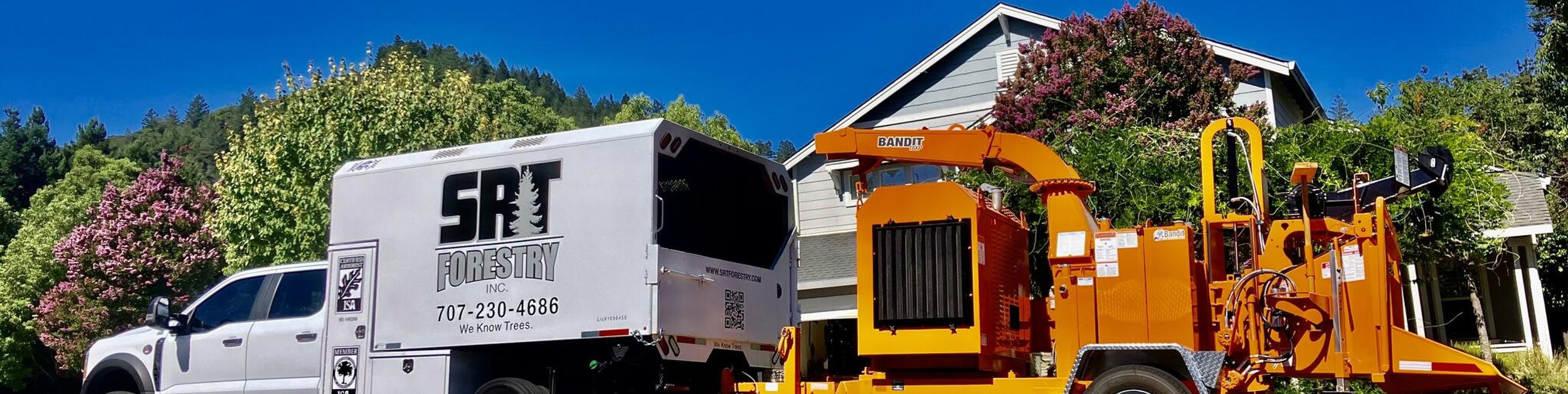 Contact SRT Forestry for tree service in Sonoma County