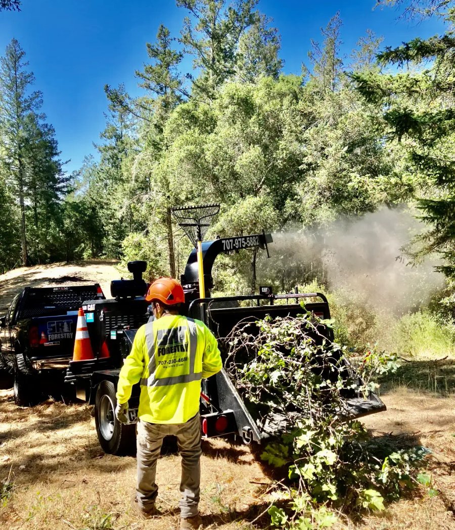 Fire prevention vegetation clearing and defensible space work in Sonoma County