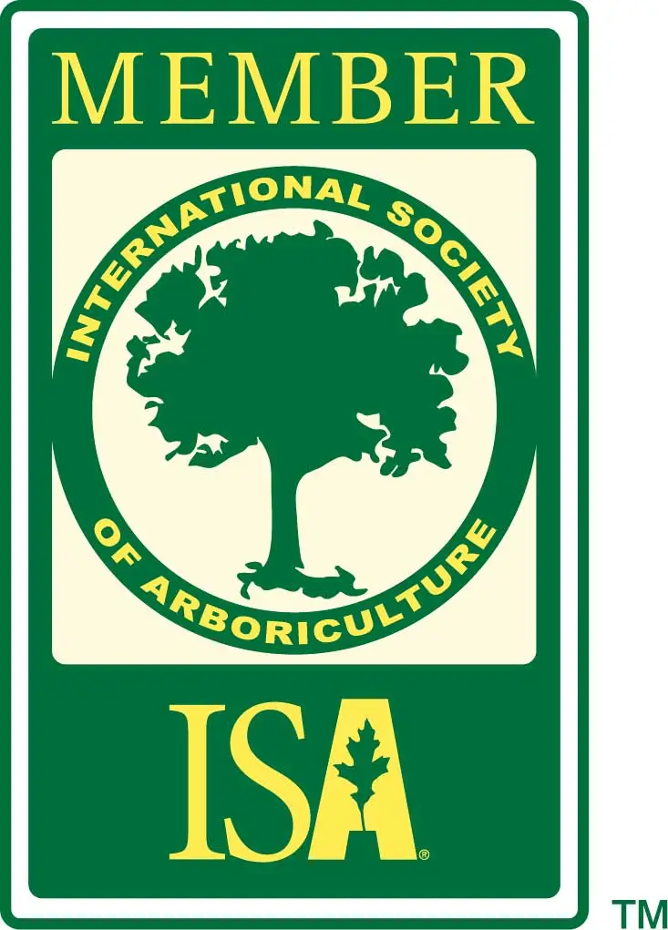 ISA Certified Arborist badge