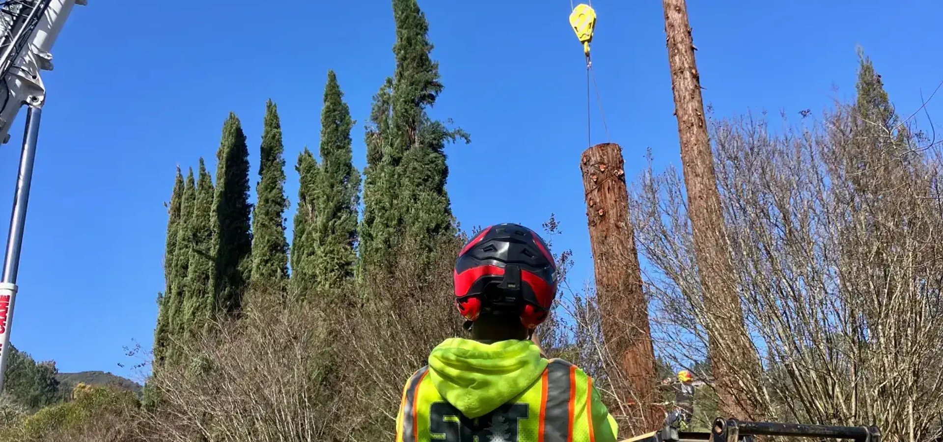 Hazard tree removal service in Sonoma County