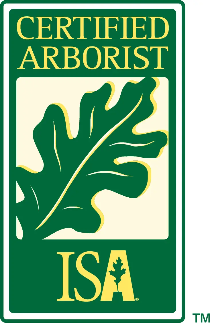 International Society of Arboriculture member badge